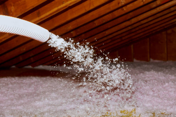 Best Cellulose Insulation in Spring Creek, NV