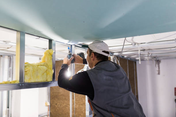 Best Insulation Maintenance and Repair in Spring Creek, NV