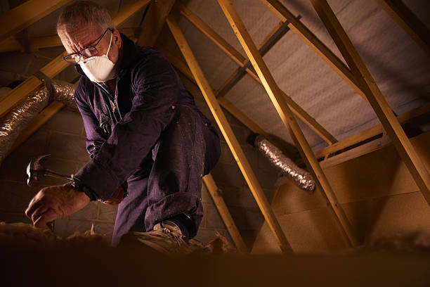 Best Spray Foam Insulation in Spring Creek, NV