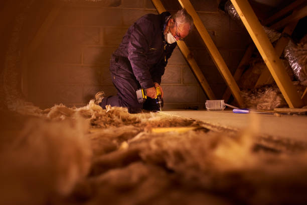 Best DIY Insulation Kits and Guidance in Spring Creek, NV